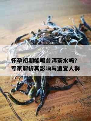 怀孕初期能喝普洱茶水吗？专家解析其影响与适宜人群