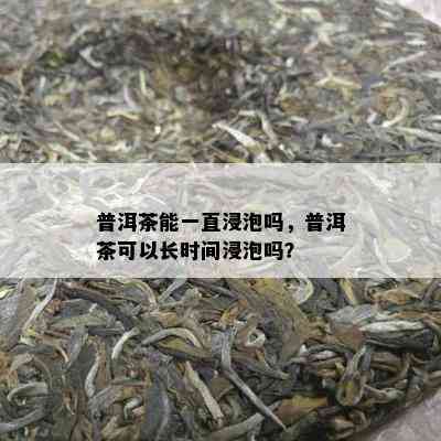 普洱茶能一直浸泡吗，普洱茶可以长时间浸泡吗？