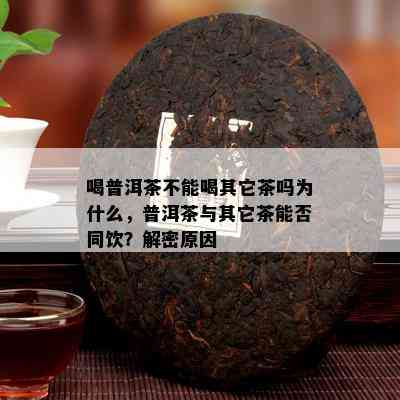 喝普洱茶不能喝其它茶吗为什么，普洱茶与其它茶能否同饮？解密原因