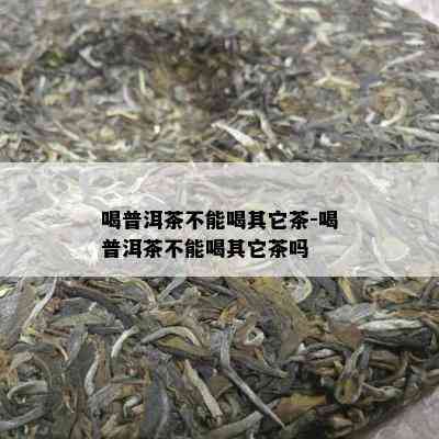 喝普洱茶不能喝其它茶-喝普洱茶不能喝其它茶吗