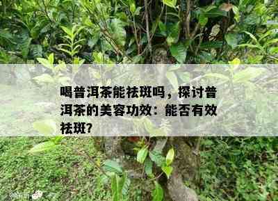 喝普洱茶能祛斑吗，探讨普洱茶的美容功效：能否有效祛斑？