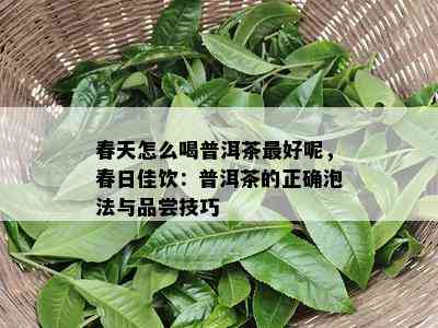 春天怎么喝普洱茶更好呢，春日佳饮：普洱茶的正确泡法与品尝技巧