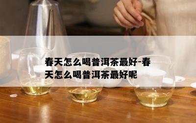 春天怎么喝普洱茶更好-春天怎么喝普洱茶更好呢