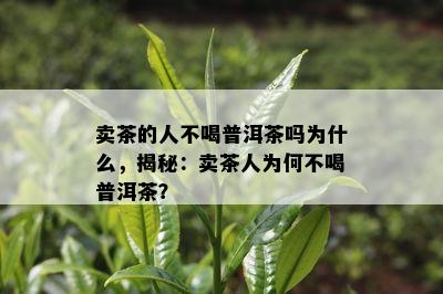 卖茶的人不喝普洱茶吗为什么，揭秘：卖茶人为何不喝普洱茶？