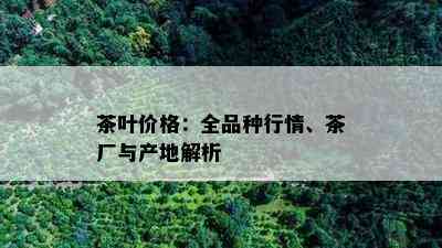 茶叶价格：全品种行情、茶厂与产地解析