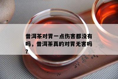 普洱茶对胃一点伤害都没有吗，普洱茶真的对胃无害吗？