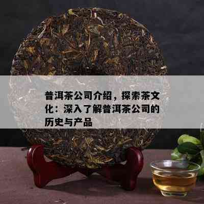 普洱茶公司介绍，探索茶文化：深入了解普洱茶公司的历史与产品