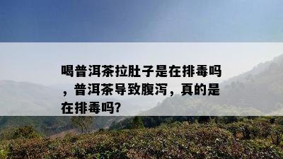 喝普洱茶拉肚子是在排吗，普洱茶导致腹泻，真的是在排吗？