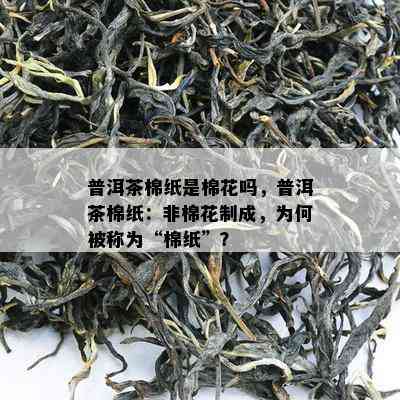 普洱茶棉纸是棉花吗，普洱茶棉纸：非棉花制成，为何被称为“棉纸”？