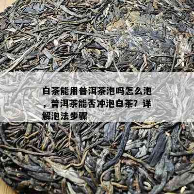 白茶能用普洱茶泡吗怎么泡，普洱茶能否冲泡白茶？详解泡法步骤