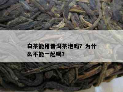 白茶能用普洱茶泡吗？为什么不能一起喝？