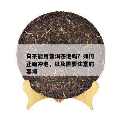 白茶能用普洱茶泡吗？如何正确冲泡，以及需要注意的事项