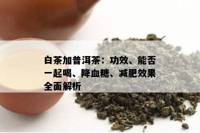 白茶加普洱茶：功效、能否一起喝、降血糖、减肥效果全面解析