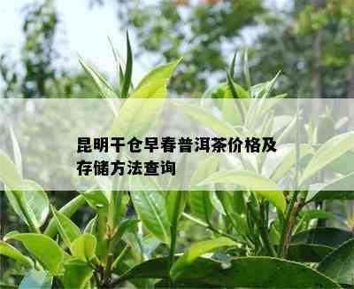 昆明干仓早春普洱茶价格及存储方法查询