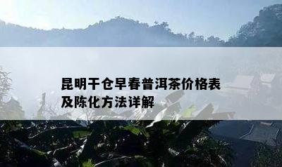 昆明干仓早春普洱茶价格表及陈化方法详解