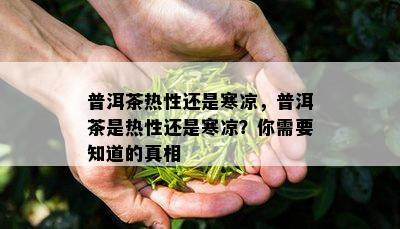 普洱茶热性还是寒凉，普洱茶是热性还是寒凉？你需要知道的真相