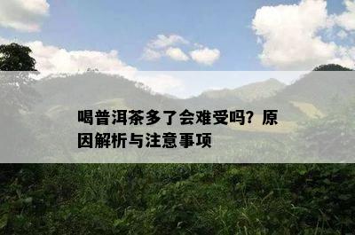 喝普洱茶多了会难受吗？原因解析与注意事项