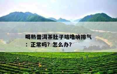 喝熟普洱茶肚子咕噜响排气：正常吗？怎么办？