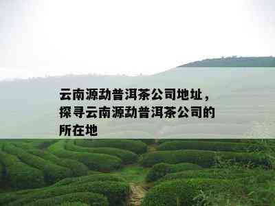 云南源勐普洱茶公司地址，探寻云南源勐普洱茶公司的所在地