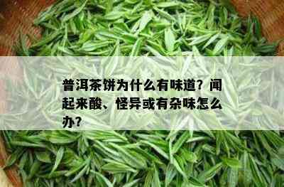 普洱茶饼为什么有味道？闻起来酸、怪异或有杂味怎么办？