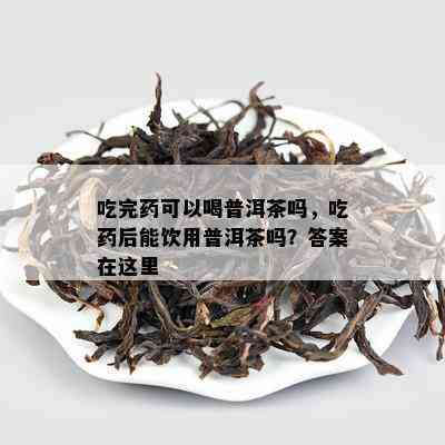 吃完可以喝普洱茶吗，吃后能饮用普洱茶吗？答案在这里