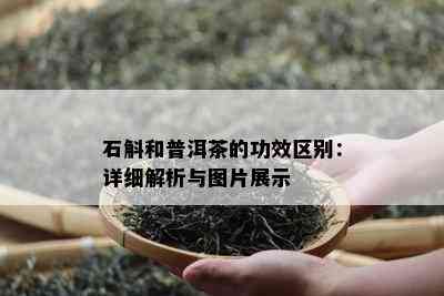 石斛和普洱茶的功效区别：详细解析与图片展示