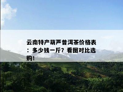 云南特产葫芦普洱茶价格表：多少钱一斤？看图对比选购！