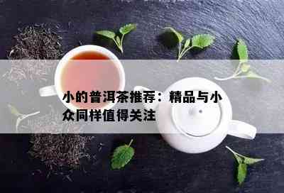 小的普洱茶推荐：精品与小众同样值得关注