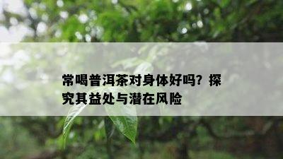 常喝普洱茶对身体好吗？探究其益处与潜在风险