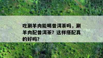 吃涮羊肉能喝普洱茶吗，涮羊肉配普洱茶？这样搭配真的好吗？