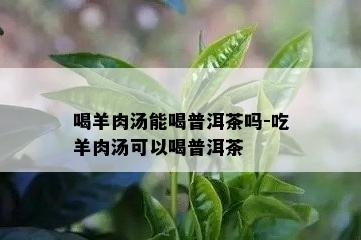 喝羊肉汤能喝普洱茶吗-吃羊肉汤可以喝普洱茶