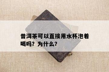 普洱茶可以直接用水杯泡着喝吗？为什么？