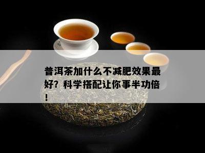 普洱茶加什么不减肥效果更好？科学搭配让你事半功倍！