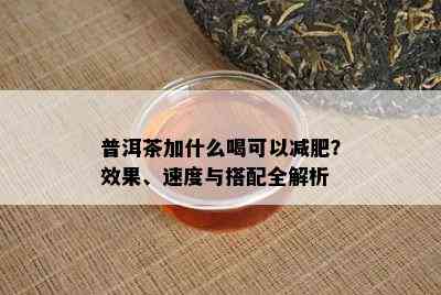 普洱茶加什么喝可以减肥？效果、速度与搭配全解析