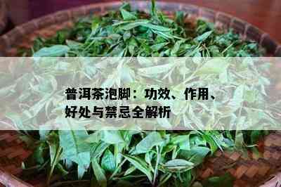 普洱茶泡脚：功效、作用、好处与禁忌全解析