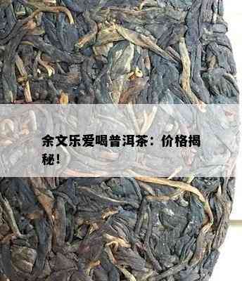 余文乐爱喝普洱茶：价格揭秘！