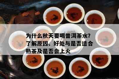 为什么秋天要喝普洱茶水？了解原因、好处与是否适合熟茶及是否会上火