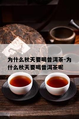 为什么秋天要喝普洱茶-为什么秋天要喝普洱茶呢