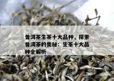 普洱茶生茶十大品种，探索普洱茶的奥秘：生茶十大品种全解析