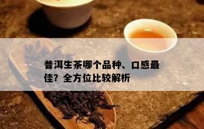 普洱生茶哪个品种、口感更佳？全方位比较解析