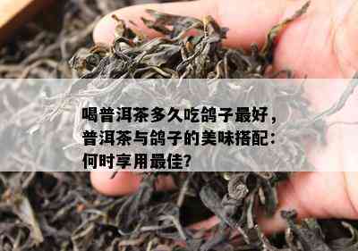 喝普洱茶多久吃鸽子更好，普洱茶与鸽子的美味搭配：何时享用更佳？