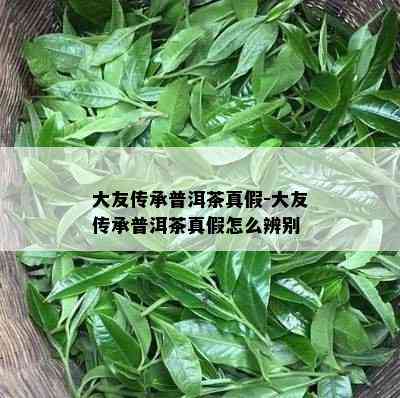 大友传承普洱茶真假-大友传承普洱茶真假怎么辨别