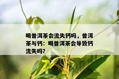 喝普洱茶会流失钙吗，普洱茶与钙：喝普洱茶会导致钙流失吗？