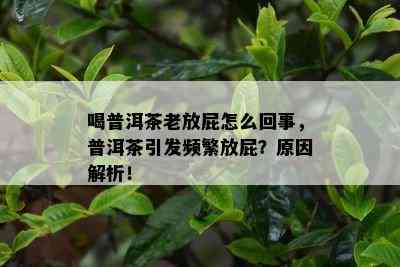 喝普洱茶老放屁怎么回事，普洱茶引发频繁放屁？原因解析！