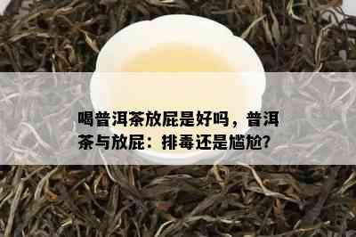 喝普洱茶放屁是好吗，普洱茶与放屁：排还是尴尬？