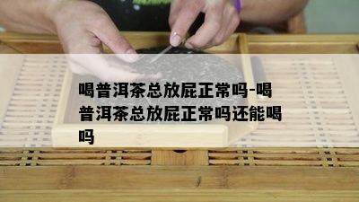 喝普洱茶总放屁正常吗-喝普洱茶总放屁正常吗还能喝吗