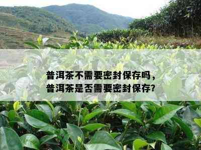 普洱茶不需要密封保存吗，普洱茶是否需要密封保存？