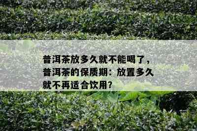 普洱茶放多久就不能喝了，普洱茶的保质期：放置多久就不再适合饮用？