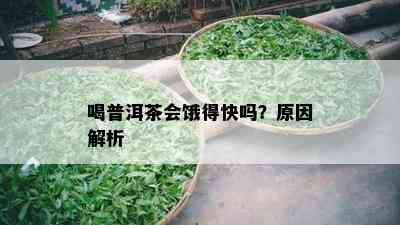 喝普洱茶会饿得快吗？原因解析