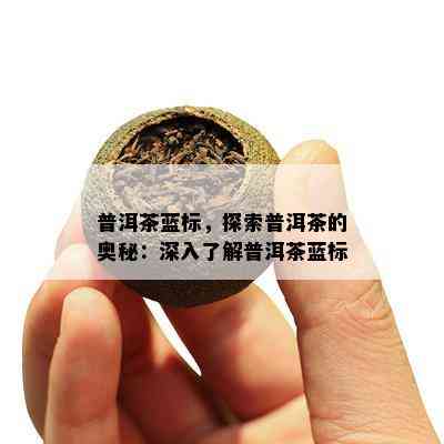 普洱茶蓝标，探索普洱茶的奥秘：深入了解普洱茶蓝标